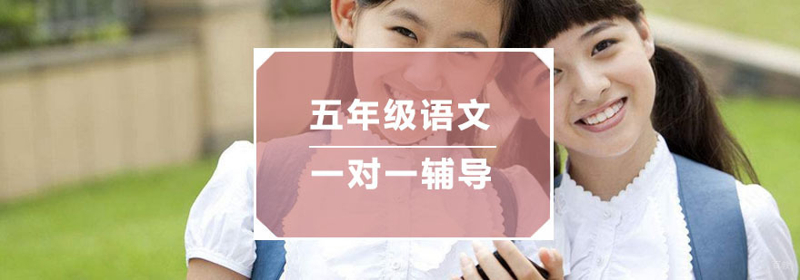 杭州小学五年级语文一对一辅导