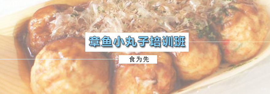 章鱼小丸子培训班