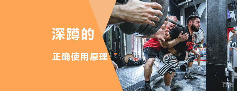 深蹲动作分解图示