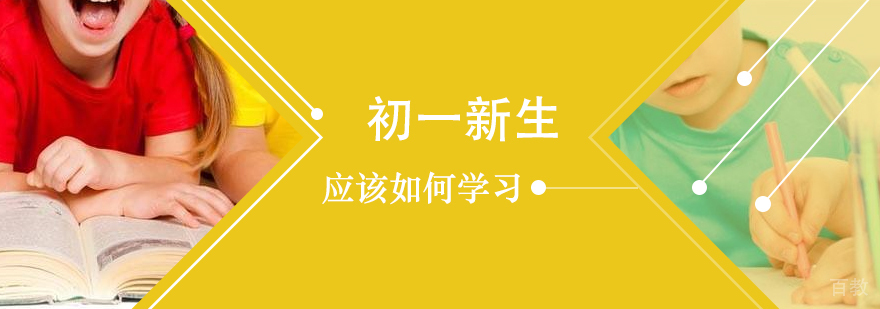 初一新生应该如何学习