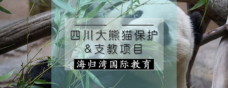 四川大熊猫保护&支教项目