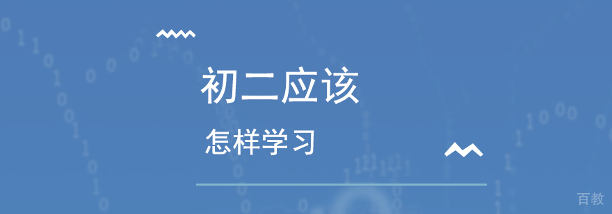 八年级数学补习