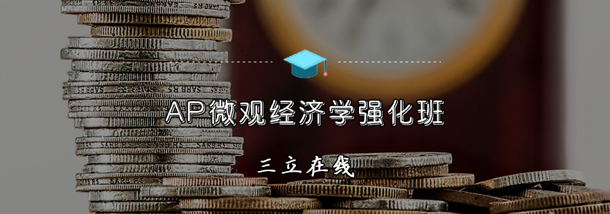 AP微观经济学强化班