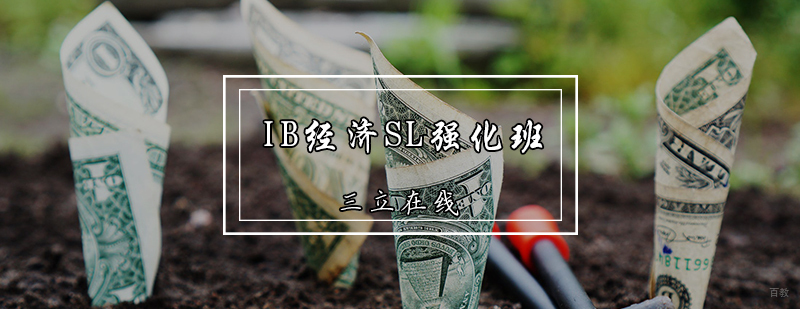 IB经济SL强化班