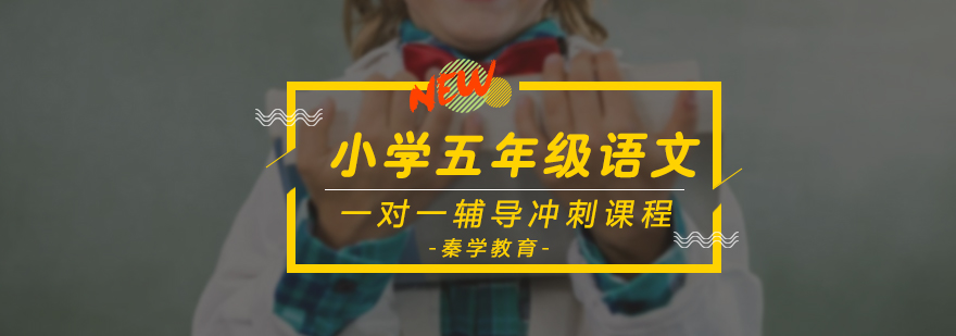 小学五年级语文一对一辅导冲刺课程