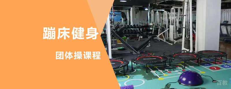专业蹦床健身训练