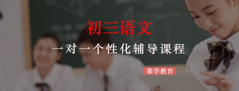初三语文一对一个性化辅导课程