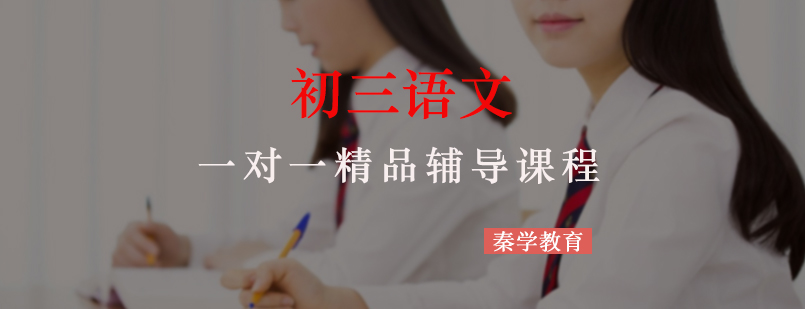 初三语文一对一精品辅导课程