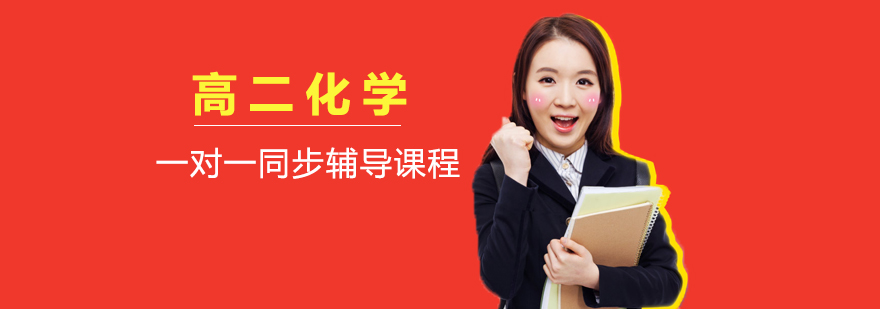 高二化学一对一同步辅导课程