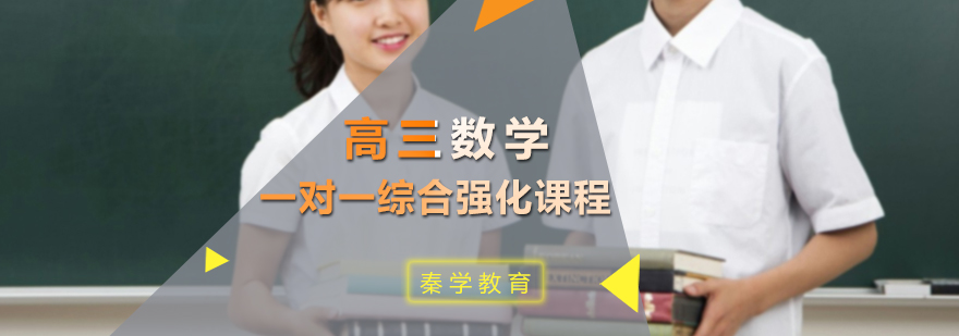 高三数学一对一综合强化课程