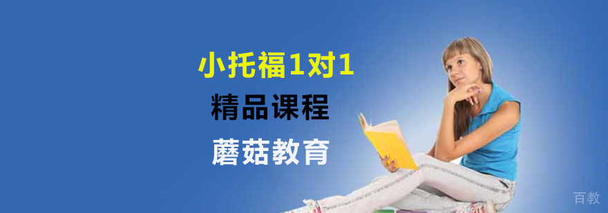 小托福一对一