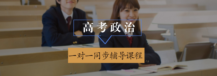 高考政治一对一同步辅导课程