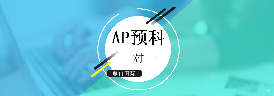 上海AP课程个性化辅导