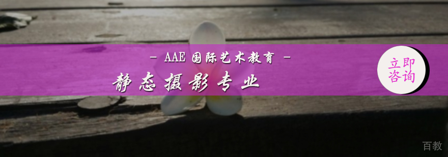 静态摄影专业培训