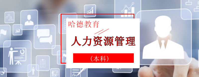 人力资源管理本科课程