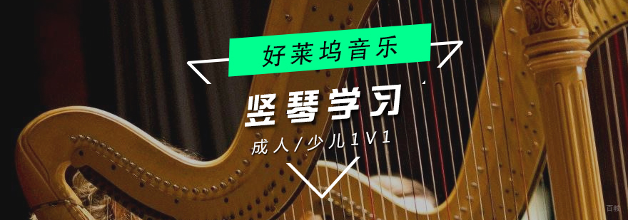 上海儿童竖琴培训
