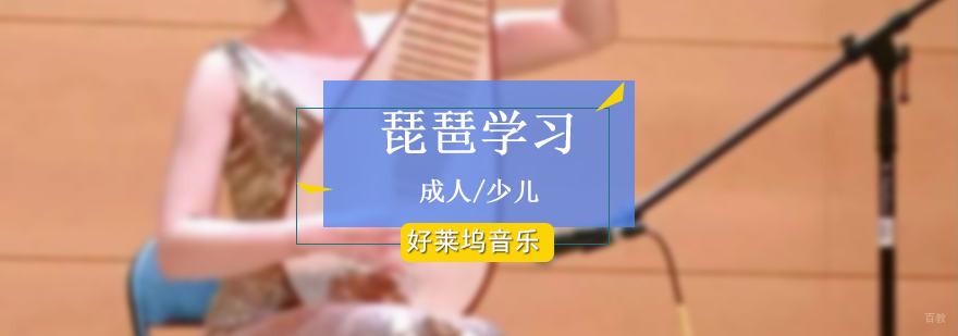上海琵琶培训