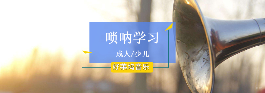专业唢呐教学现场