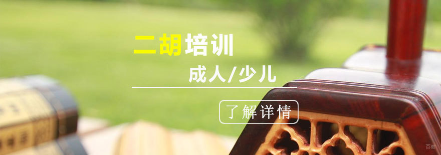二胡演奏教学现场