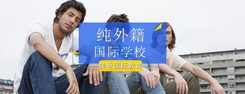 北京纯外籍国际学校-纯外籍国际学校入学条件