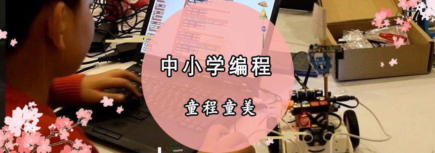 中小學編程教育新信息