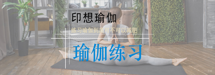 瑜伽体式训练展示