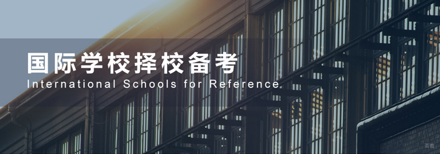 国际教育导师团队