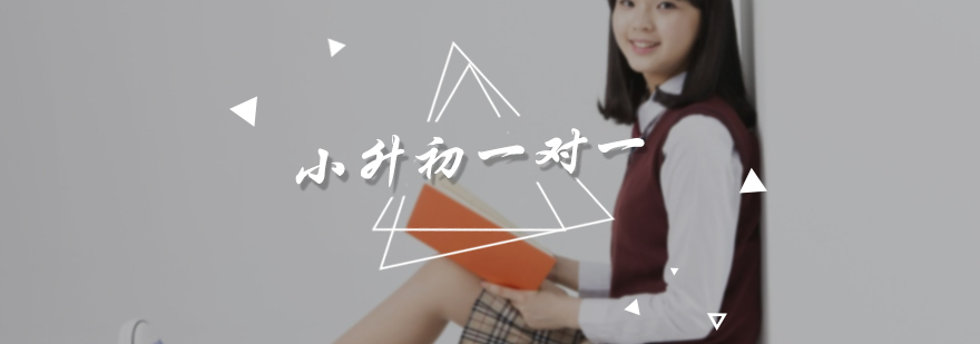 小升初一对一培训