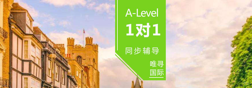 A-Level定制课程教学场景