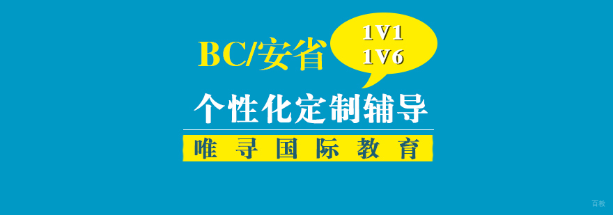 国际课程培训