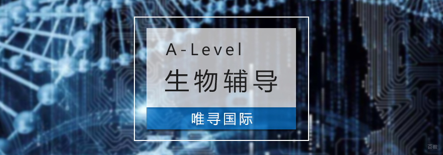 A-Level生物课程辅导