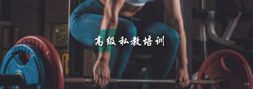 高级私教培训