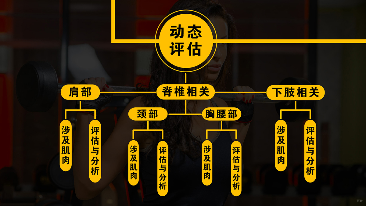课程内容
