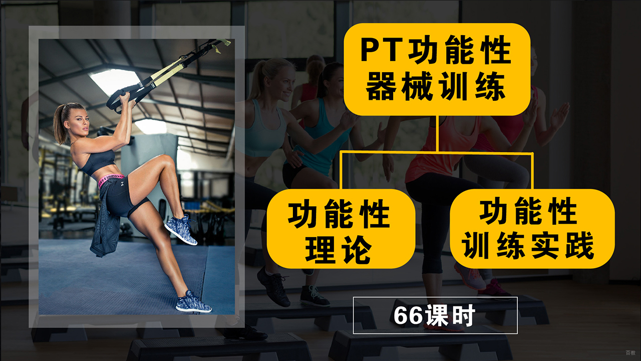 课程内容
