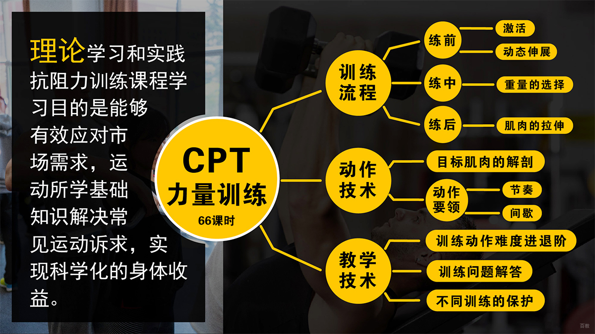 课程内容