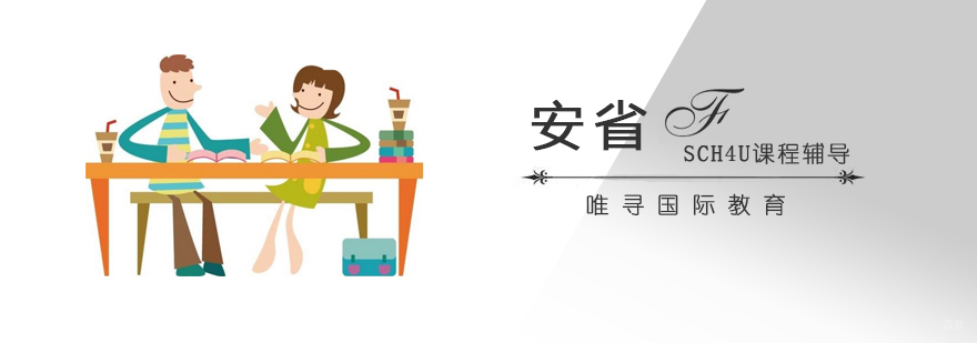 上海安省SCH4U课程教学实景