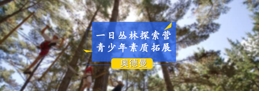 青少年丛林拓展训练