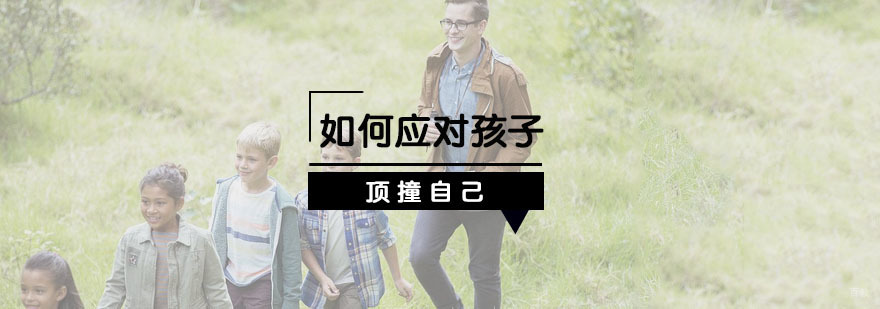 夏令营培训机构