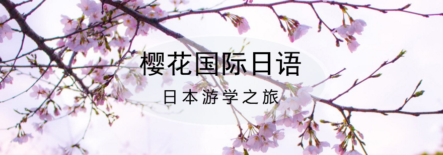 日本文化深度体验