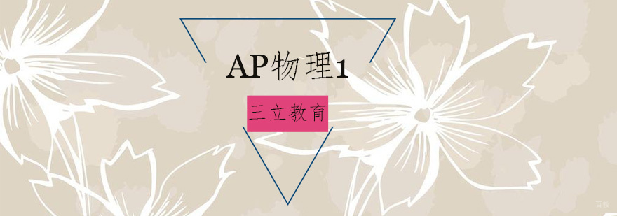 青岛AP物理1课程培训