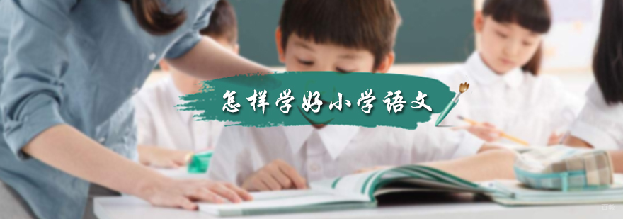 怎样学好小学语文