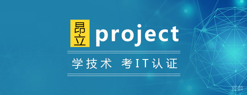 Project项目管理软件高效商务应用