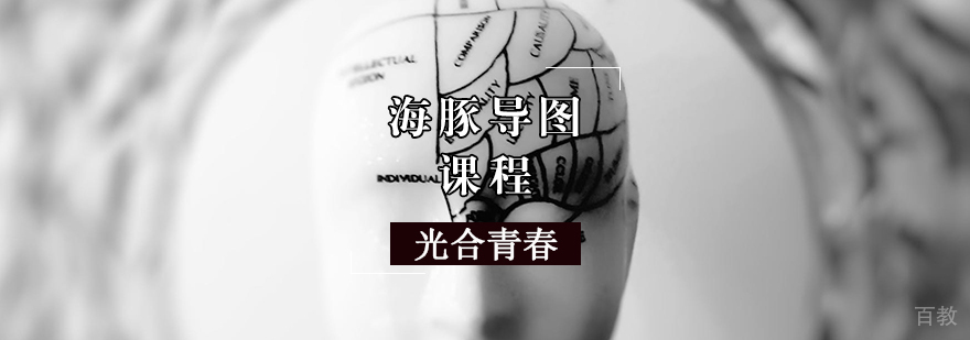 海豚导图课程