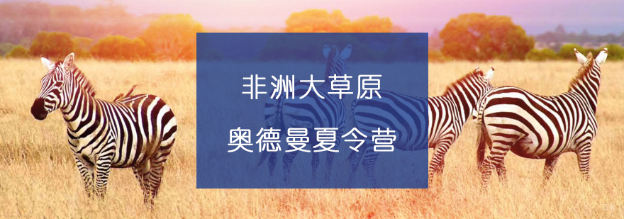 非洲草原亲子研学