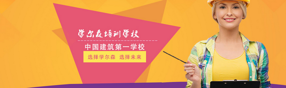 北京学尔森教育简介 北京学尔森教育简介