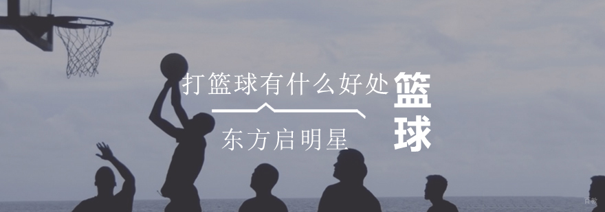 专业篮球训练课程 青少年运动技能提升 团队协作培养