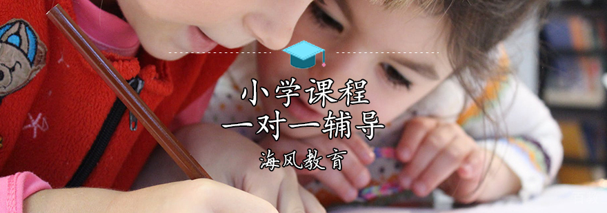 天津小学课程一对一辅导班