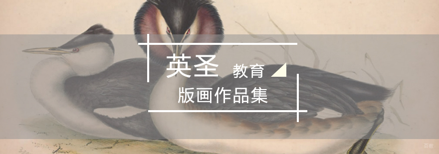 北京作品集培训留学,北京作品集培训费用,北京作品集培训机杓