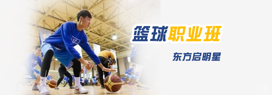 职业篮球特训营