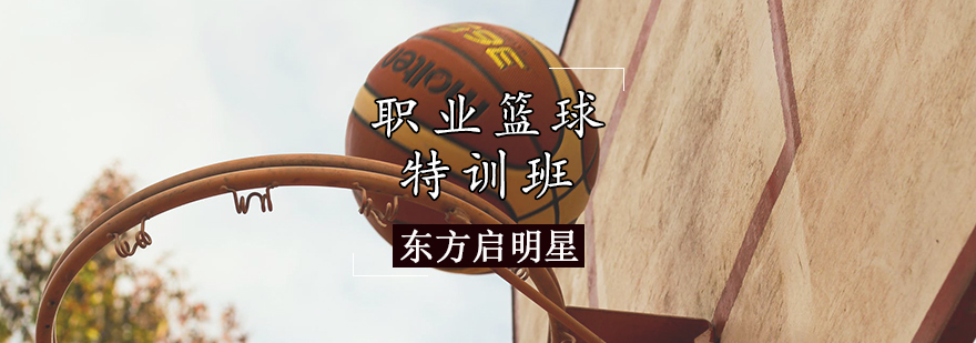 天津职业篮球特训班